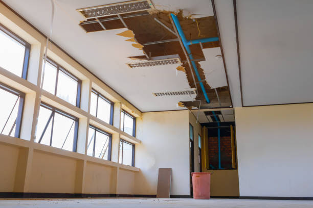 Best Fire Damage Restoration  in Beloit, WI