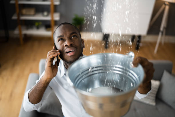 Best Mold removal after water damage  in Beloit, WI