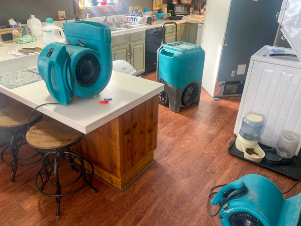 Best Water damage cleanup near me  in Beloit, WI