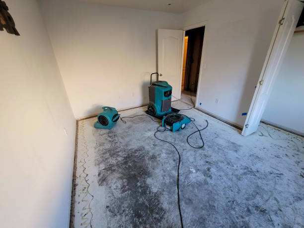Best Sewage cleanup and water damage restoration  in Beloit, WI