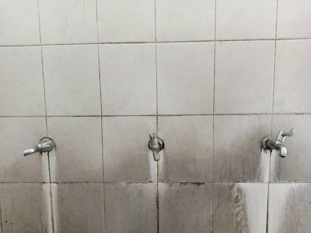Best Professional water damage repair  in Beloit, WI