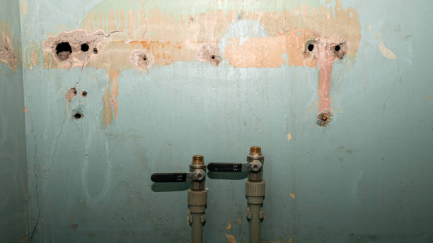  Beloit, WI Water damage restoration Pros