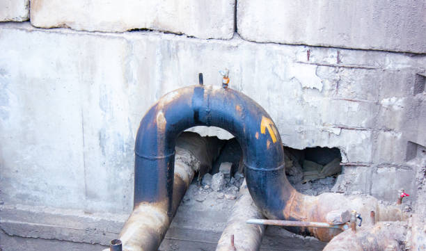 Best Water damage restoration mold remediation  in Beloit, WI