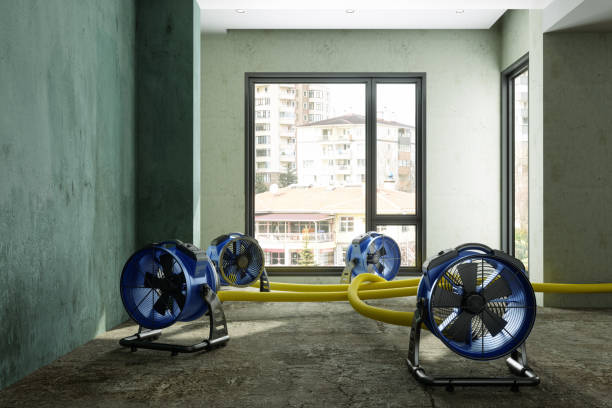 Best Water damage restoration near me  in Beloit, WI