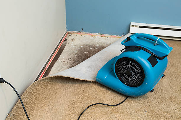 Best Flood damage cleanup  in Beloit, WI